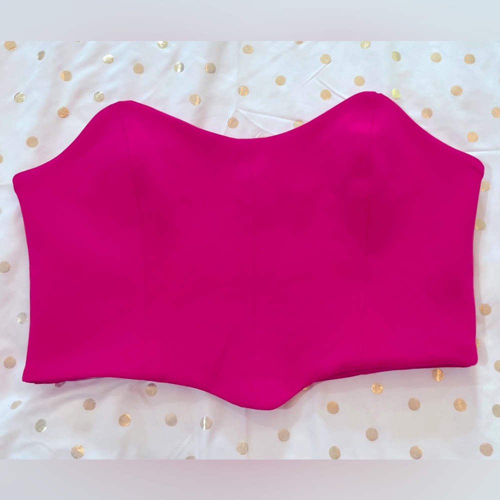 NWOT Zip back Bustier Top Sz L